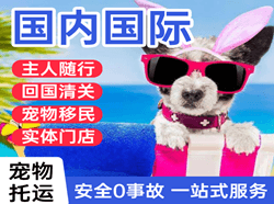 张孝空运地址国际宠物托运 【国